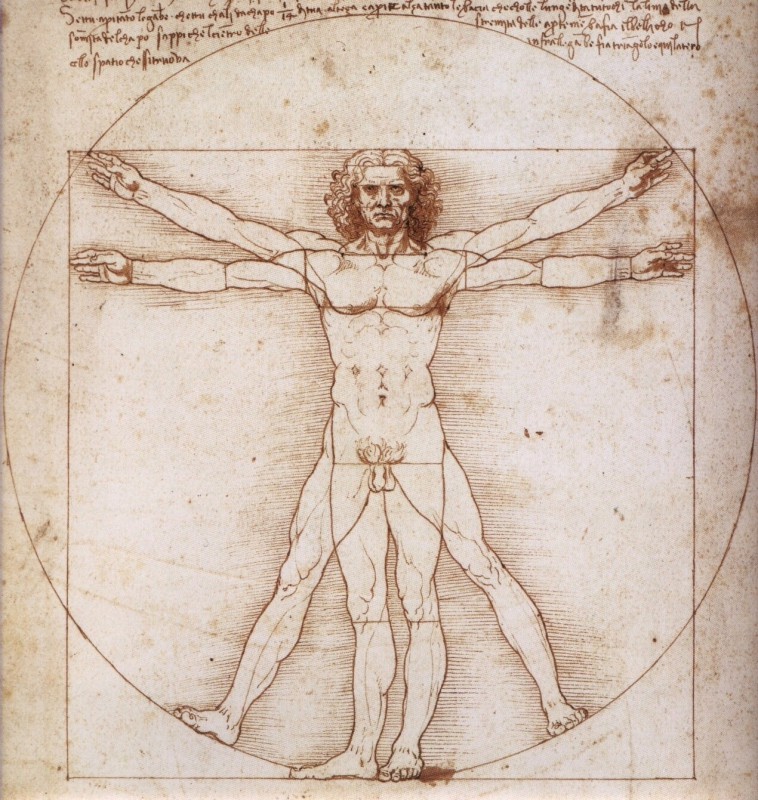uomo-vitruviano-di-Leonardo-Da-Vinci